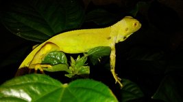 20171006_191513.jpg
