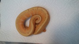 20170924_123651.jpg