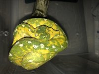 IMG_2123.jpg