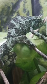 Screenshot_20180528-173552.jpg