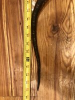 65D33211-C2EB-4DE9-9BD2-F1D5E5E77FC3.jpg