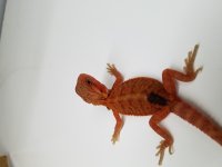 20171108_151606.jpg