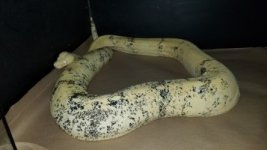 thumbnail_20180325_234537.jpg