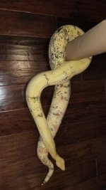 thumbnail_20180324_160424.jpg