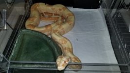thumbnail_20180324_161822.jpg