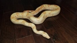 thumbnail_20180324_161944.jpg