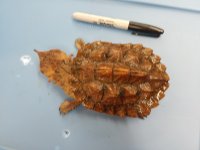 20170824_144150.jpg