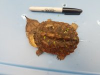 20170824_142518.jpg