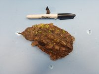 20170824_142440.jpg