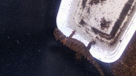 20170905_163623.jpg