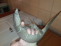 20180307_192732.jpg