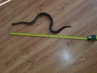 20180511_185148.jpg