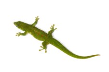 iStock-157489016.jpg