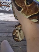 IMG_20171007_154202.jpg