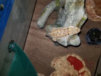 20171010_211141.jpg