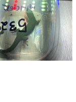 unnamed-7.jpg