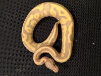 80F762D3-D6B8-4B17-A330-C75C16CC11E3.jpg