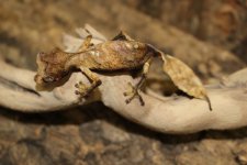 IMG_2301.jpg