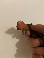IMG_20180108_213238.jpg