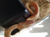 20180411_092410.jpg