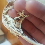 20180401_143233.jpg