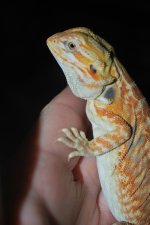 DSC_0224.jpg