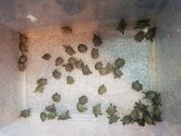 20170921_114251.jpg