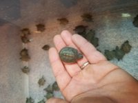 20170921_114305.jpg