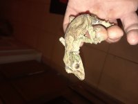 20180327_013008.jpg