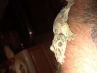 20180327_013000.jpg