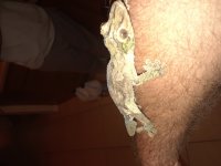 20180327_013029.jpg