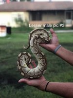 IMG_8946.jpg