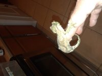 20180327_013016.jpg
