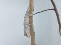 20180129_142153.jpg