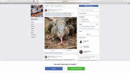 Screen Shot 2018-04-27 at 5.38.21 AM.jpg