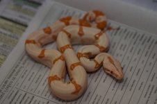 CRW_4441.jpg