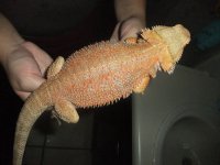 DSCF5279.jpg