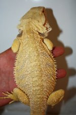 IMG_3833.JPG