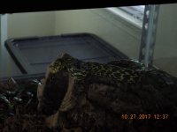 DSCN1331.jpg
