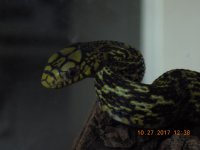 DSCN1333.jpg