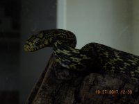 DSCN1334.jpg