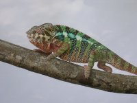 DSCN5270.jpg