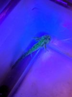 IMG_20180326_222940.jpg