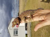 20180115_145706.jpg