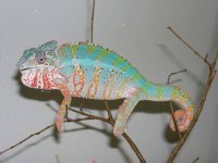 DSCN5368.jpg