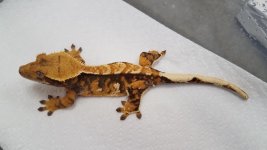 20171009_230955.jpg