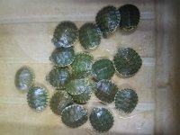 20180412_103404.jpg