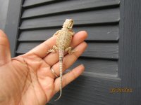 IMG_7489.JPG