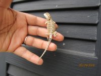 IMG_7559.JPG