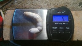 20180209_210420.jpg